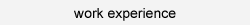 work experience menu